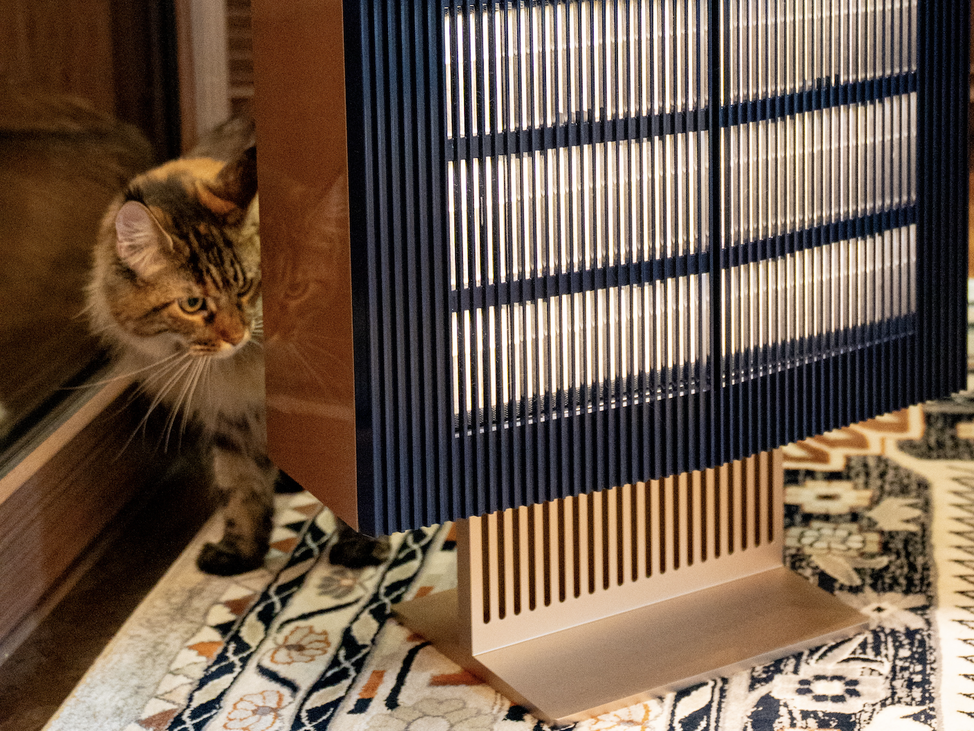 A cat beside CLAIR DE BRUME, with light behind the grille and a patterned rug below
